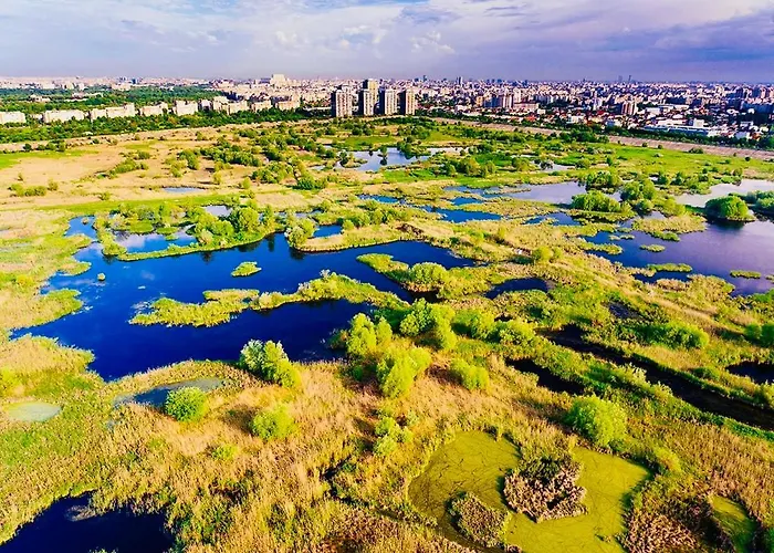 Apartment Aki Rin Bucharest