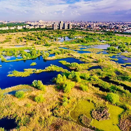 Lejlighed Aki Rin Bukarest